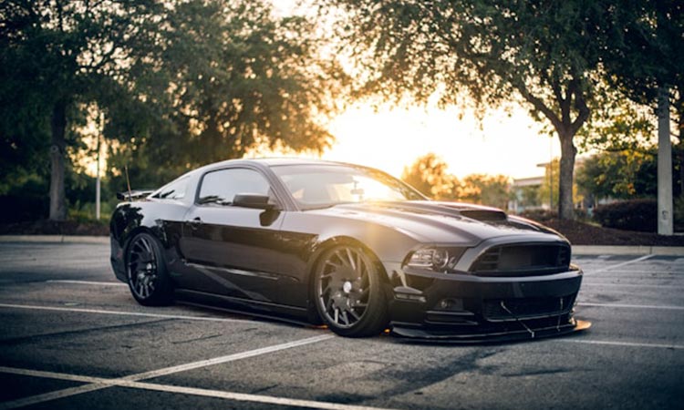 ford-mustang-gt-sporty-polished-design Ford Mustang GT with distinctive custom wheels, highlighting its sporty design and polished finish.